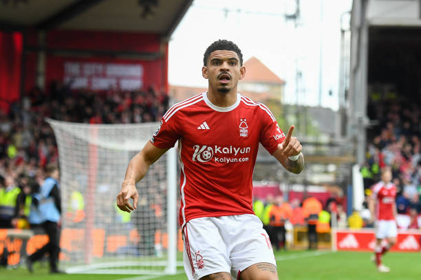 彼得罗维奇 彼得罗维奇